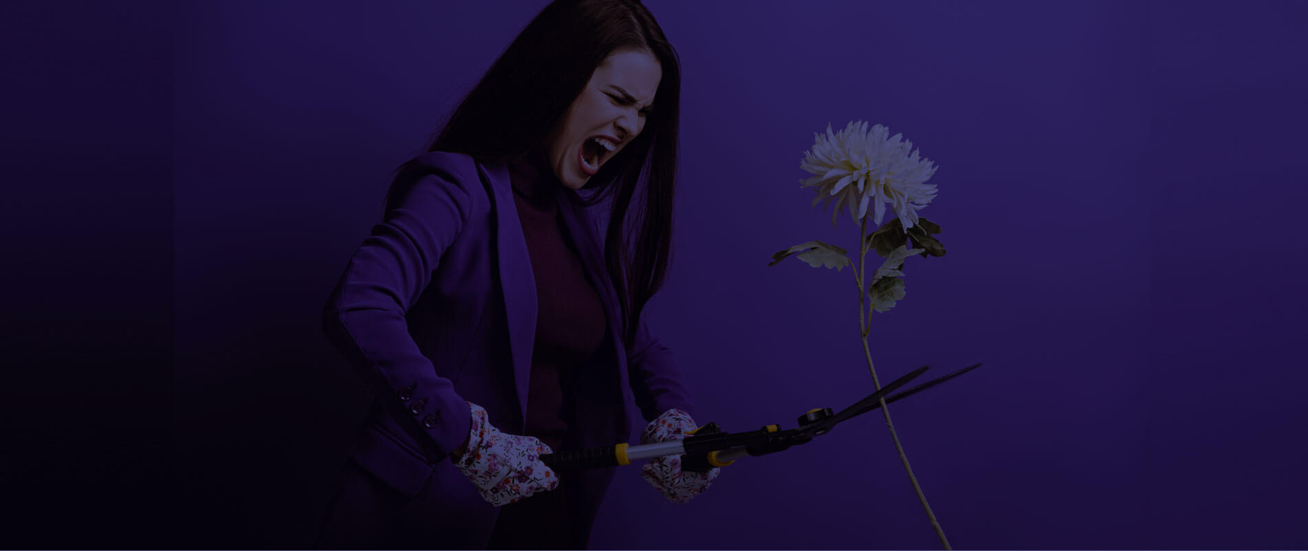 woman cutting a long flower